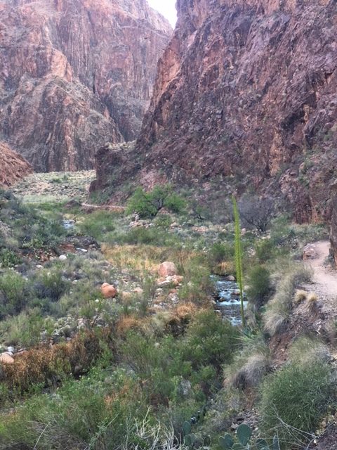 colorado river