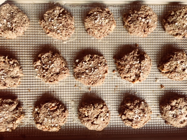 coconut walnut cookies